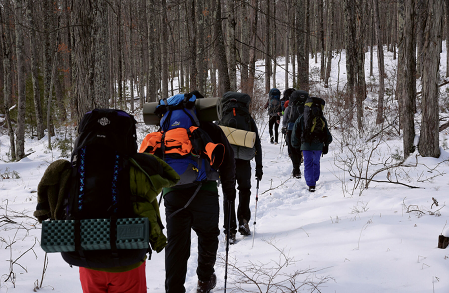 Winter backbackers in woods